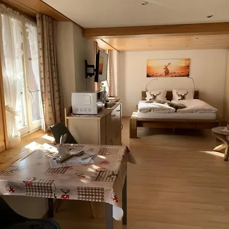 Fluehbluemli Eigerview Apartmán Grindelwald